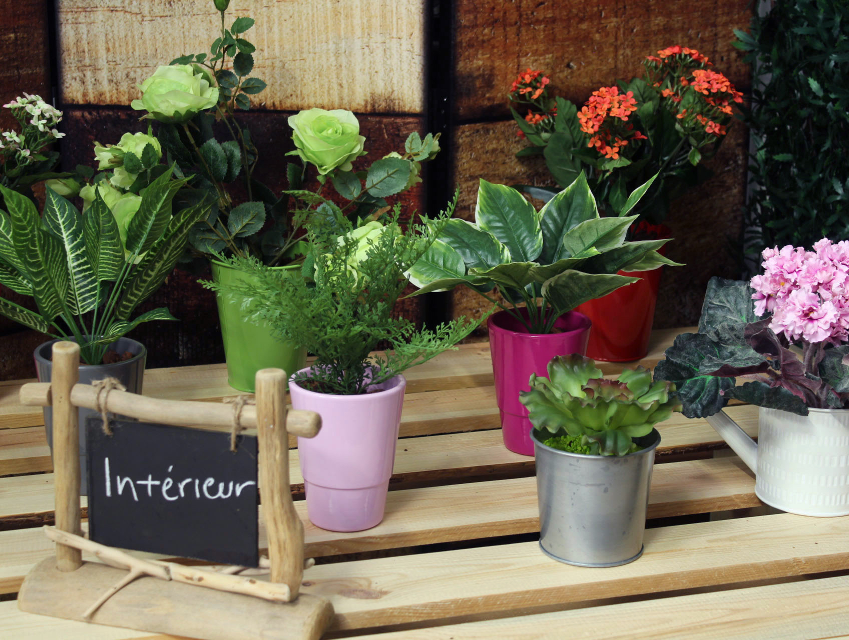 Showroom plantes artificielles